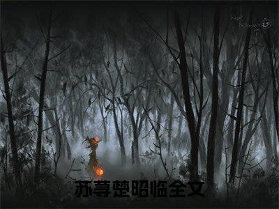 苏荨楚昭临（苏荨楚昭临）全文免费阅读无弹窗大结局_(苏荨楚昭临)苏荨楚昭临全文免费阅读无弹窗最新章节列表_笔趣阁（苏荨楚昭临）