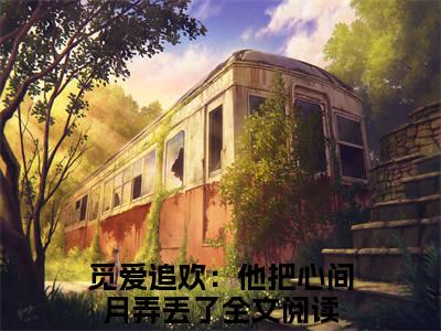 沈聿城秦栖月小说全文大结局-沈聿城秦栖月（觅爱追欢：他把心间月弄丢了）小说全文免费阅读