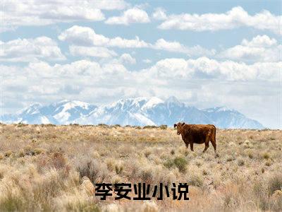 四合院：穿成一大爷的亲外甥全文免费免费阅读无弹窗最新章节列表_笔趣阁（李安业全文免费）