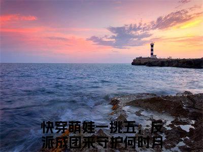 快穿萌娃一挑五，反派成团来守护何时月（快穿萌娃一挑五，反派成团来守护何时月)小说免费阅读在线阅读_快穿萌娃一挑五，反派成团来守护何时月全文免费阅读_笔趣阁