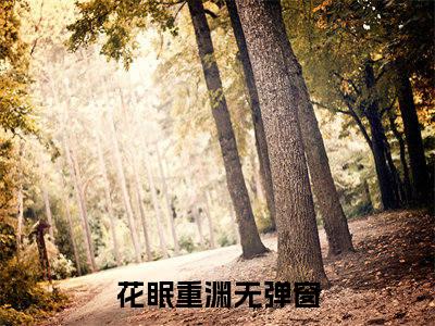 花眠重渊（花眠重渊)全文免费阅读无弹窗大结局_花眠重渊全文免费阅读_笔趣阁（花眠重渊）
