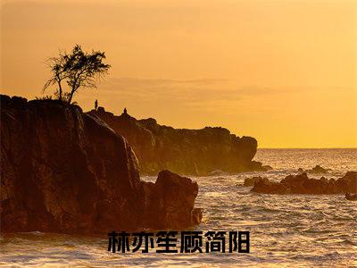 林亦笙顾简阳（林亦笙顾简阳）全文免费阅读无弹窗大结局_（林亦笙顾简阳无弹窗）最新章节免费阅读_笔趣阁
