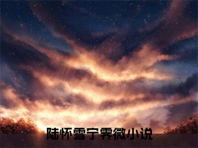 陆怀雪宁霁微无弹窗最新章节列表_笔趣阁