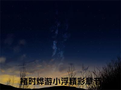 褚时烨游小浮(褚时烨游小浮)全文免费阅读无弹窗大结局-褚时烨游小浮求书热文免费阅读
