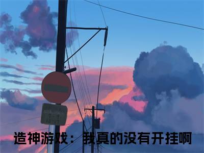 造神游戏：我真的没有开挂啊（苏野）全文免费阅读无弹窗大结局_（苏野）造神游戏：我真的没有开挂啊最新章节列表_笔趣阁（苏野）
