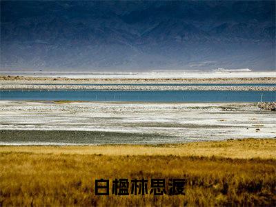 白楹林思渡小说（白楹林思渡）全文免费阅读_（白楹林思渡）小说最新章节列表_笔趣阁（白楹林思渡）