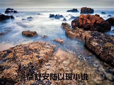 简舒安陆以琛满分热推小说 -简舒安陆以琛小说全本已完结