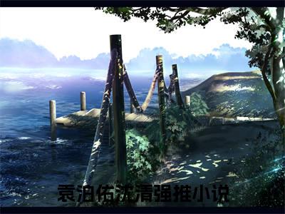 袁泊佑沈清精选热门小说无弹窗-袁泊佑沈清在线赏析