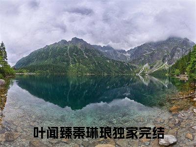 叶闻臻秦琳琅小说免费阅读完整版全文大结局