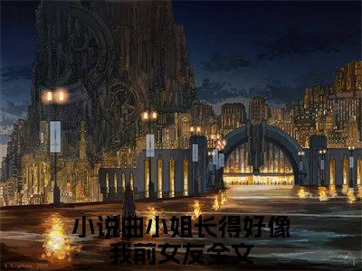 曲小姐长得好像我前女友（曲连栀祁南理）无弹窗小说免费阅读_曲小姐长得好像我前女友最新章节免费阅读_笔趣阁