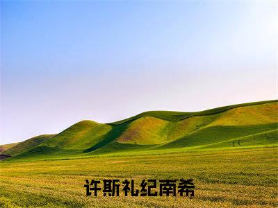 主角叫许斯礼纪南希小说全文免费阅读