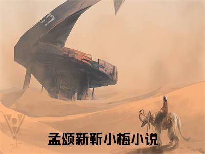 孟颂新靳小梅（孟颂新靳小梅）小说大结局全文免费阅读-抖音小说孟颂新靳小梅