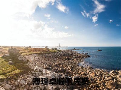 薄瑾卓临帆小说免费阅读-精选好书薄瑾卓临帆