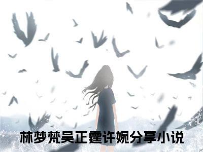 林梦梵吴正霆许婉(林梦梵吴正霆许婉)全文免费阅读无弹窗大结局_林梦梵吴正霆许婉无弹窗最新章节列表_笔趣阁