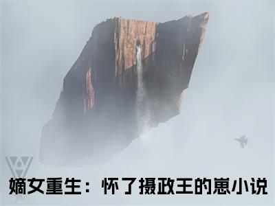 沈如霜顾松言（嫡女重生：怀了摄政王的崽小说）全文免费阅读无弹窗大结局_嫡女重生：怀了摄政王的崽小说最新章节列表_笔趣阁（沈如霜顾松言）