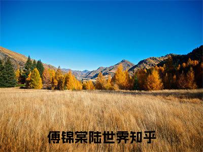傅锦棠陆世霁(主角是傅锦棠陆世霁全文免费阅读无弹窗)_傅锦棠陆世霁全文免费阅读无弹窗大结局