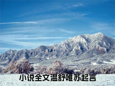 好书推荐小说温舒唯苏起言-温舒唯苏起言全文免费阅读大结局