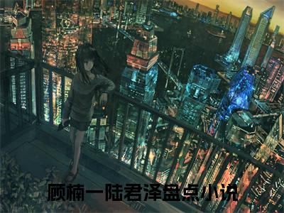 顾楠一陆君泽免费小说（顾楠一陆君泽）全本免费阅读-顾楠一陆君泽最新章节列表
