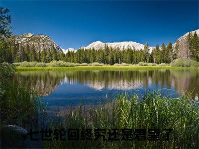 无广告小说白落幽晏寒笙全文免费阅读无弹窗大结局-七世轮回终究还是奢望了川在线阅读
