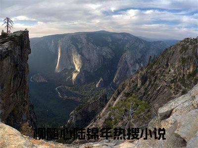 柳随心陆锦年小说全文免费阅读（柳随心陆锦年）全文免费柳随心陆锦年小说无弹窗大结局_柳随心陆锦年读最新章节列表_笔趣阁（柳随心陆锦年小说）