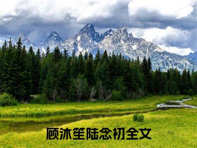 顾沐笙陆念初的小说免费阅读（顾沐笙陆念初小说免费阅读）全文免费阅读大结局-顾沐笙陆念初热门榜单好书推荐