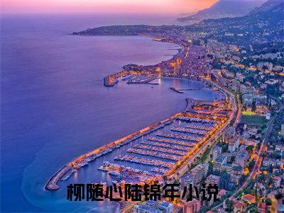 柳随心陆锦年(柳随心陆锦年)小说免费下载全本-柳随心陆锦年（柳随心陆锦年完整版）免费阅读无弹窗
