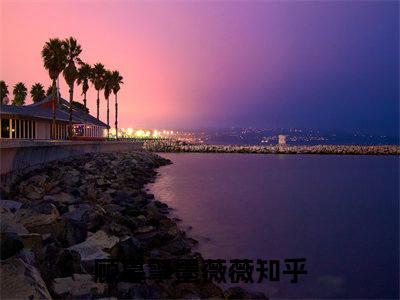 顾慕擎墨薇薇的小说全文免费阅读无弹窗大结局-《顾慕擎墨薇薇》完整章节阅读