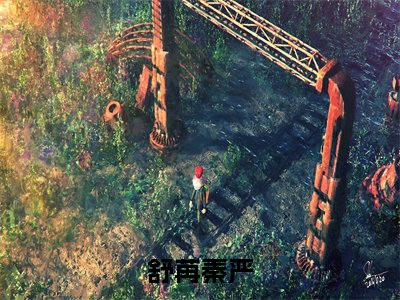 舒苒秦严（舒苒秦严）小说大结局全文免费阅读-抖音小说舒苒秦严