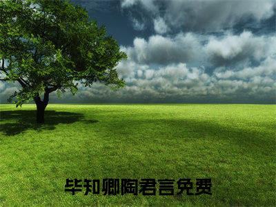 毕知卿陶君言正版小说全文阅读-毕知卿陶君言（毕知卿陶君言）小说在线阅读
