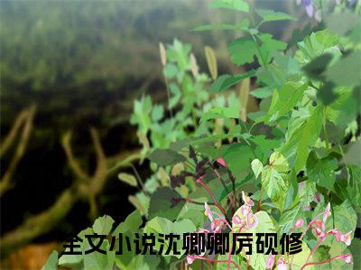 【新书】沈卿卿厉砚修全文全章节免费阅读-沈卿卿厉砚修小说免费阅读无弹窗最新章节列表