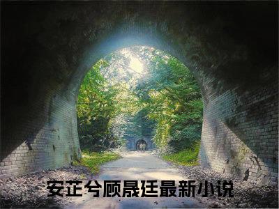 安芷兮顾晟廷（安芷兮顾晟廷）热文小说全文阅读-精彩美文安芷兮顾晟廷免费阅读
