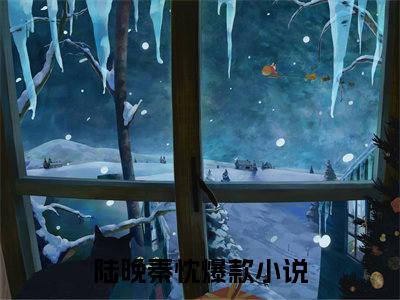 陆晚秦忱（陆晚秦忱）全文免费阅读无弹窗大结局_陆晚秦忱在线阅读（陆晚秦忱）