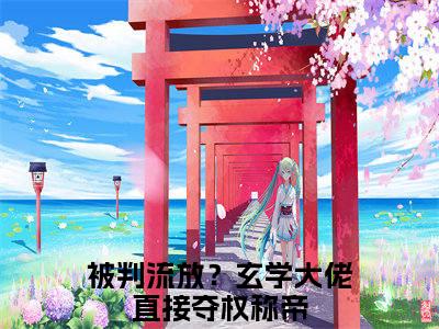 主角是被判流放？玄学大佬直接夺权称帝的小说叫什么名字谢绾宁萧景衡-老书虫书荒推荐热点小说谢绾宁萧景衡（被判流放？玄学大佬直接夺权称帝）