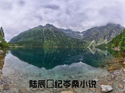 陆辰晞纪岑桑小说免费阅读-精选好书陆辰晞纪岑桑