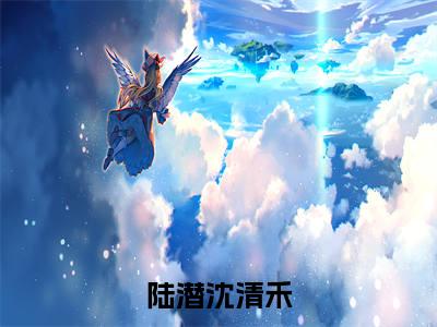 陆潜沈清禾大结局无广告 热门小说陆潜沈清禾全集免费阅读