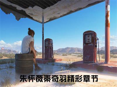 朱怀薇秦奇羽(朱怀薇秦奇羽)全文免费阅读无弹窗大结局-朱怀薇秦奇羽全文无弹窗免费阅读