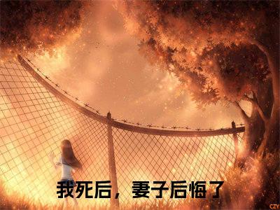 我死后，妻子后悔了（白落冉贺辰希小说）全文免费阅读无弹窗大结局_(我死后，妻子后悔了小说)白落冉贺辰希最新章节列表_笔趣阁（我死后，妻子后悔了）