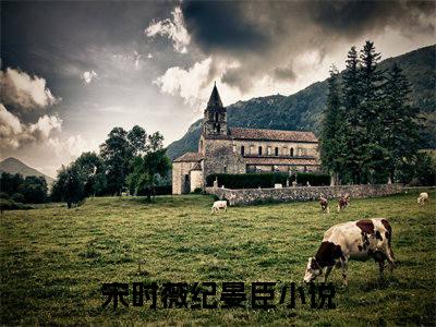 宋时薇纪晏臣新上精彩热文小说全文-宋时薇纪晏臣完整版全文在线赏析