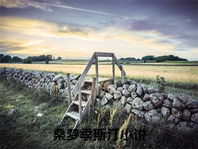 我累了，不再有任何期待(桑梦季斯汀)全文免费阅读无弹窗大结局_我累了，不再有任何期待小说最新章节列表_笔趣阁