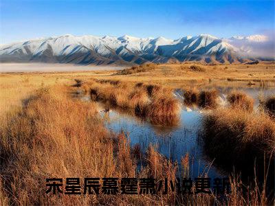 宋星辰慕霆萧小说（慕少的千亿狂妻）全文免费阅读无弹窗大结局_宋星辰慕霆萧小说免费阅读最新章节列表笔趣阁（慕少的千亿狂妻）