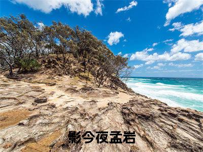 小说《夜太太天生娇纵》全文免费阅读无弹窗-影今夜孟岩小说全文在线赏析