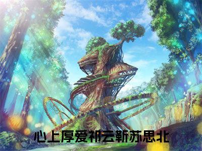 小说心上厚爱完整版在线阅读 祁云靳苏思北精选小说推荐试读