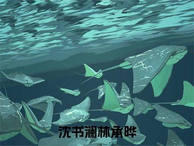 沈书澜林承晔小说大结局免费阅读-精彩小说（沈书澜林承晔）