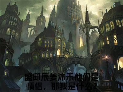 他们是情侣，那我是什么？（盛邱辰姜沐禾）全集免费阅读无弹窗_他们是情侣，那我是什么？正版小说免费阅读