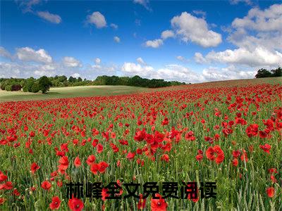 林峰开局捕获校花，肚子里有小宝宝完整全文在线阅读 林峰全文大结局阅读无弹窗