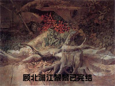 顾北渊江黎黎满分热推小说 -顾北渊江黎黎小说全本已完结