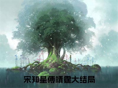 宋知星傅靖霆正版小说最新章节在线阅读-（宋知星傅靖霆）全文无弹窗阅读