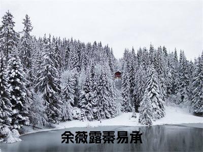 完整版小说（余薇露秦易承）最新在线阅读-余薇露秦易承小说（余薇露秦易承）免费阅读全文