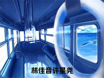 她的婚姻从无爱情，只有满地荆棘(林佳音许星尧)全文免费阅读无弹窗大结局_她的婚姻从无爱情，只有满地荆棘小说全文大结局