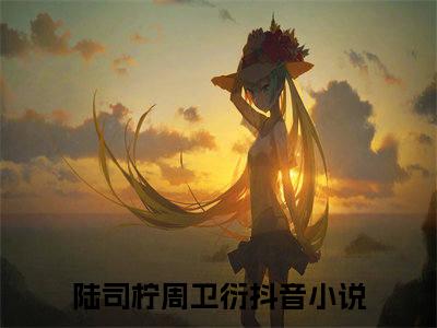 主角叫陆司柠周卫衍的小说-陆司柠周卫衍最新章节在线阅读
